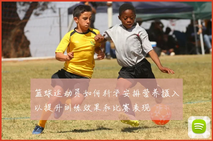 篮球运动员如何科学安排营养摄入以提升训练效果和比赛表现