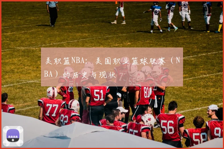 美职篮NBA：美国职业篮球联赛（NBA）的历史与现状
