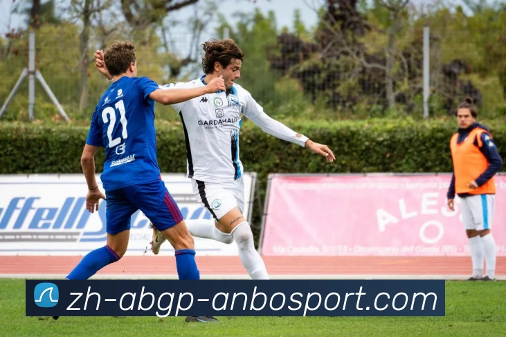 安博体育APP 封面图